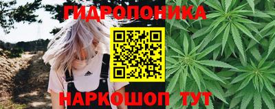 дмт Пенза